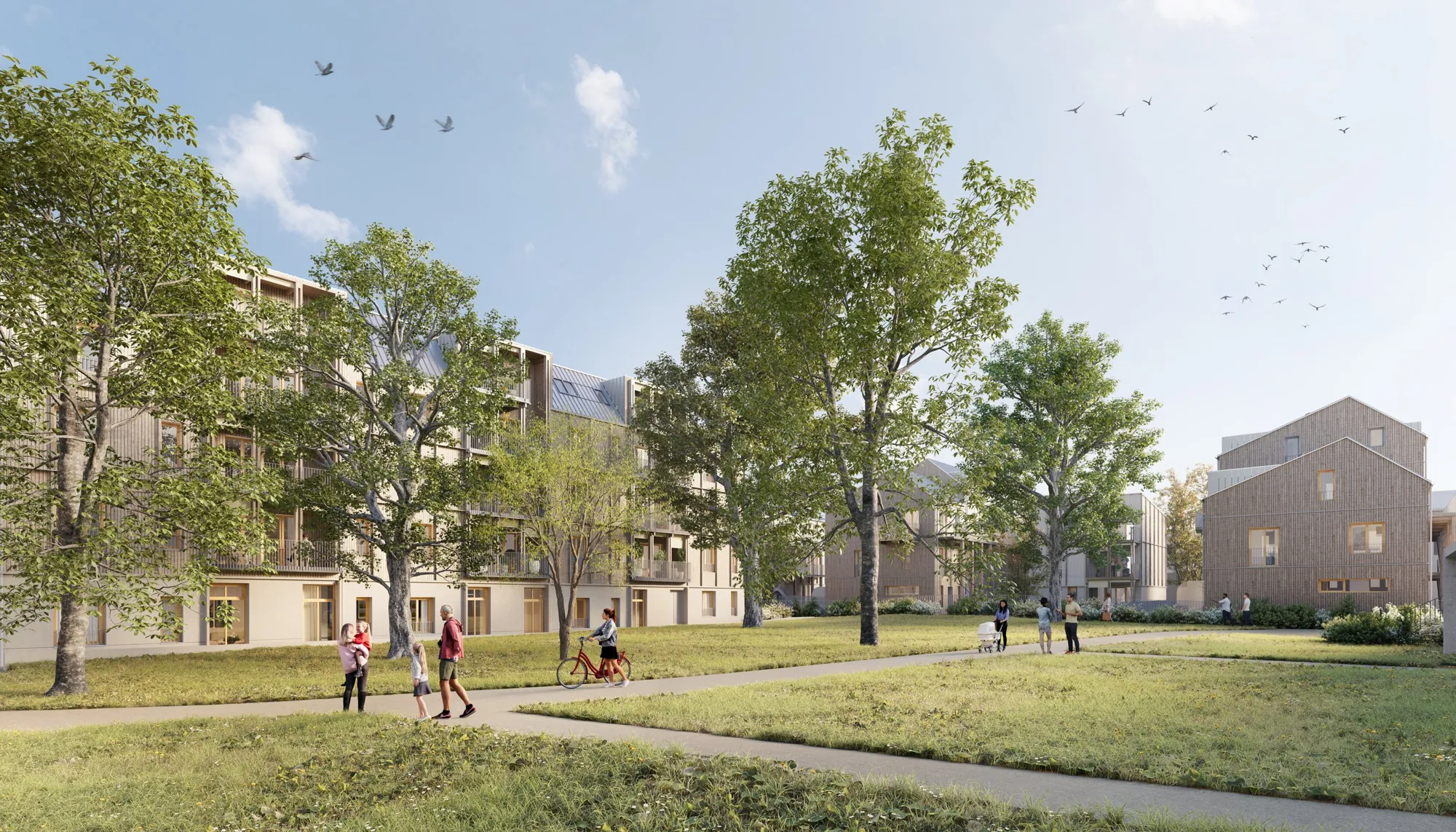 La Clairière, maisons et immeubles en bois autour d'un grand jardin