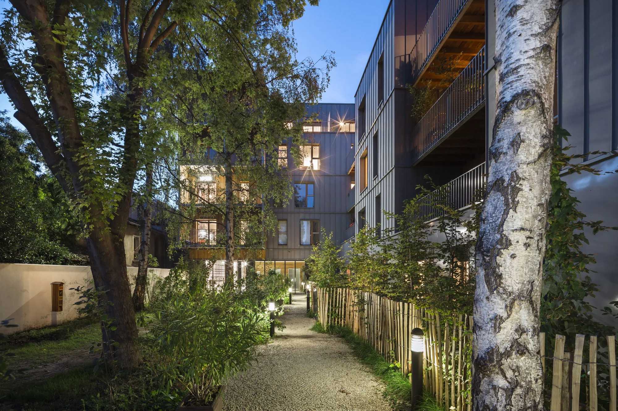 L'allée plantée éclairée le soir