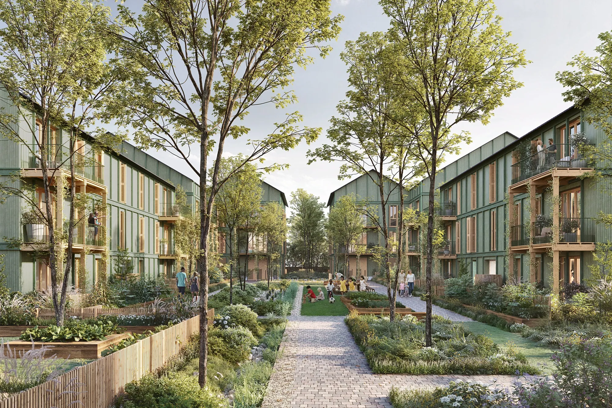 Perspective : maisons en bois autour d'un jardin partagé