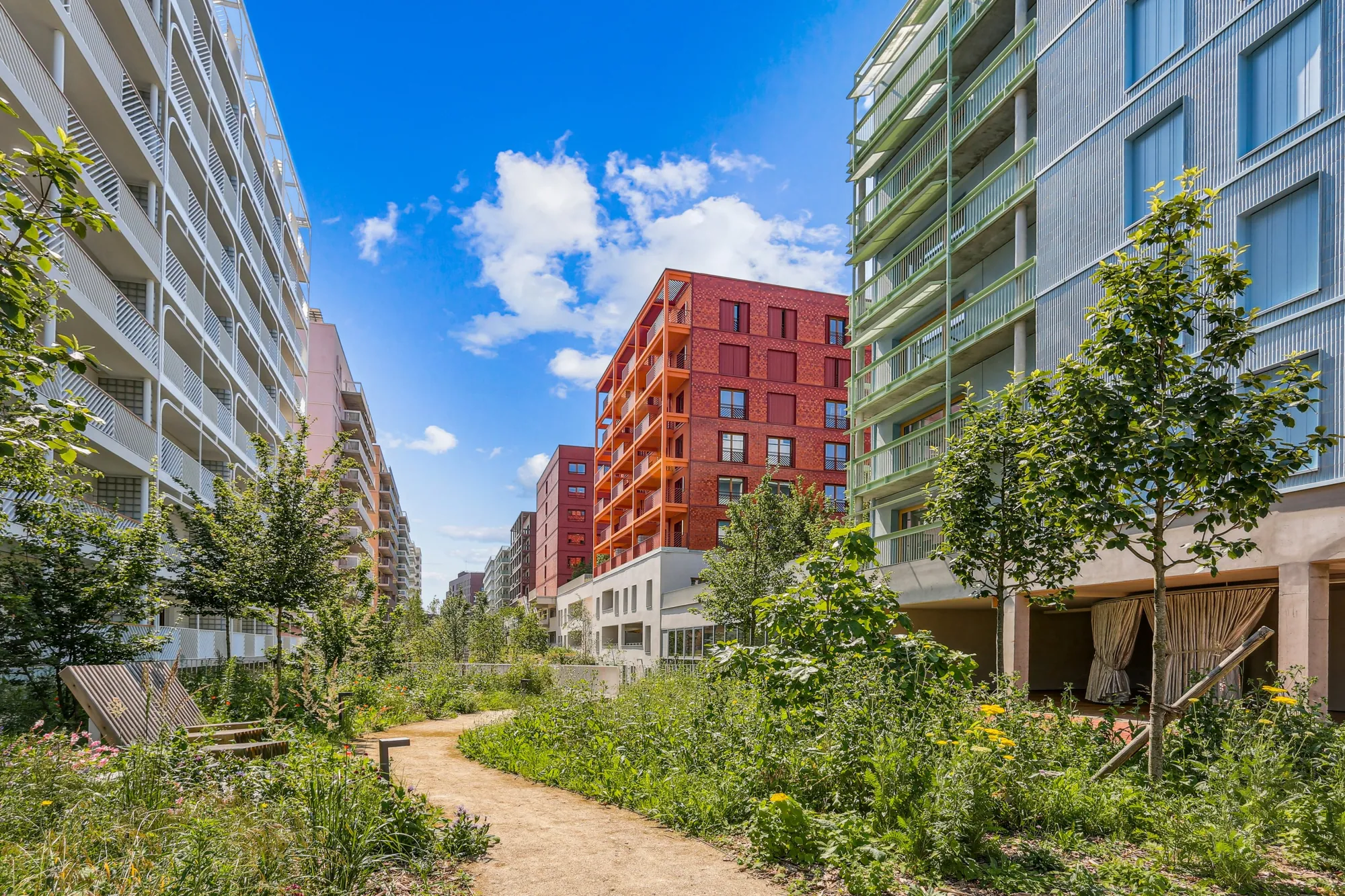Cœur de forêt entre les plots 4 et 5