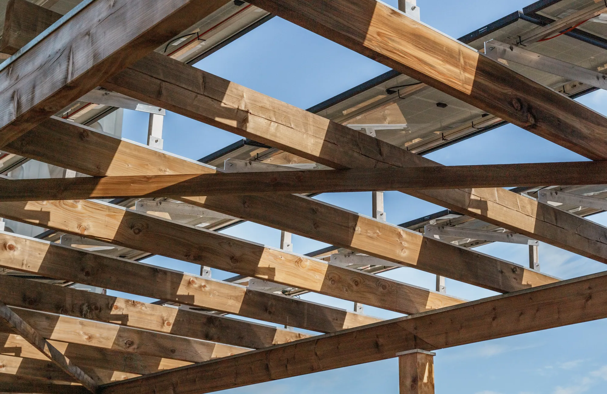 Pergola en bois vue d'en dessous
