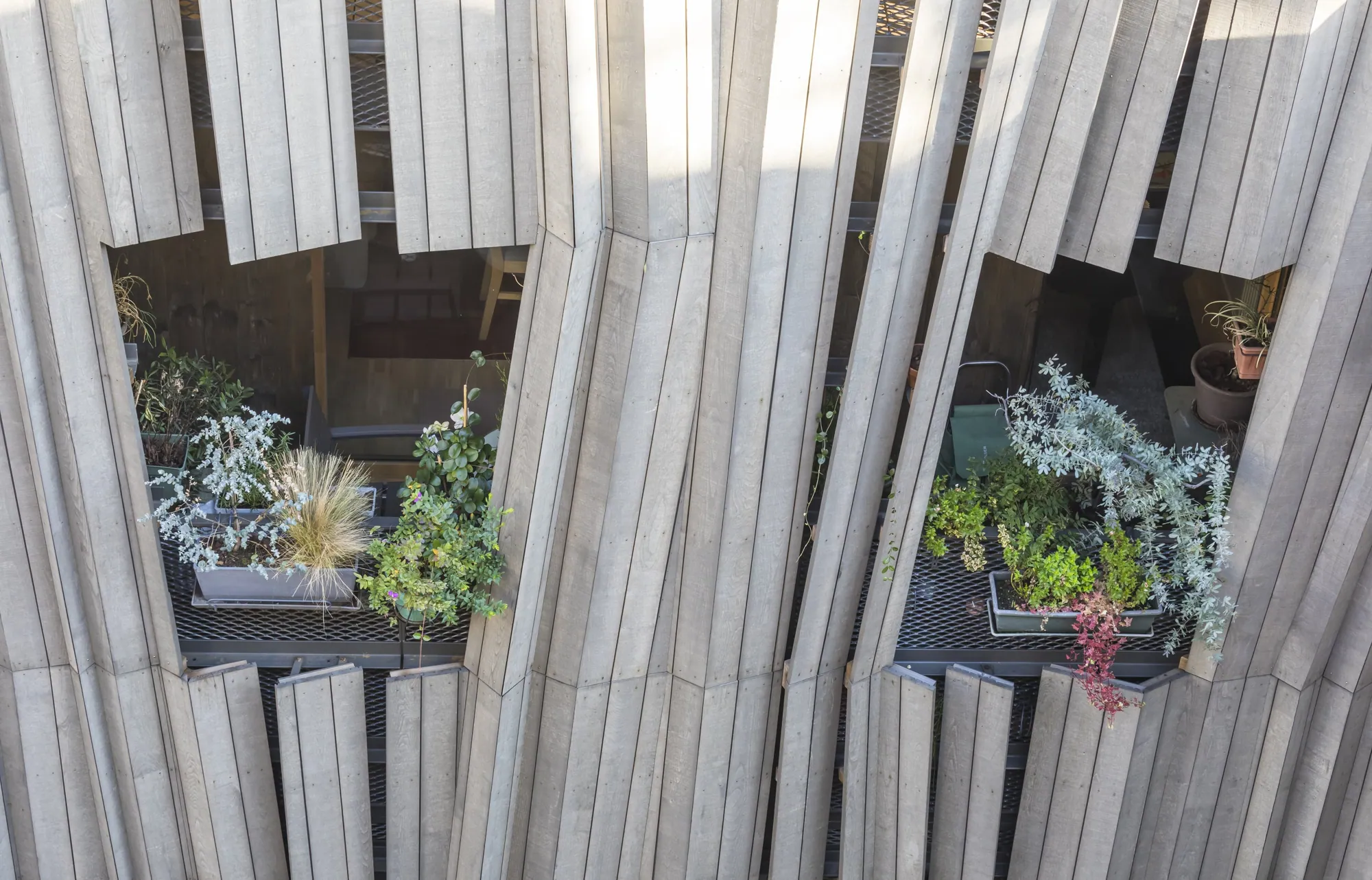Jardinières en façade