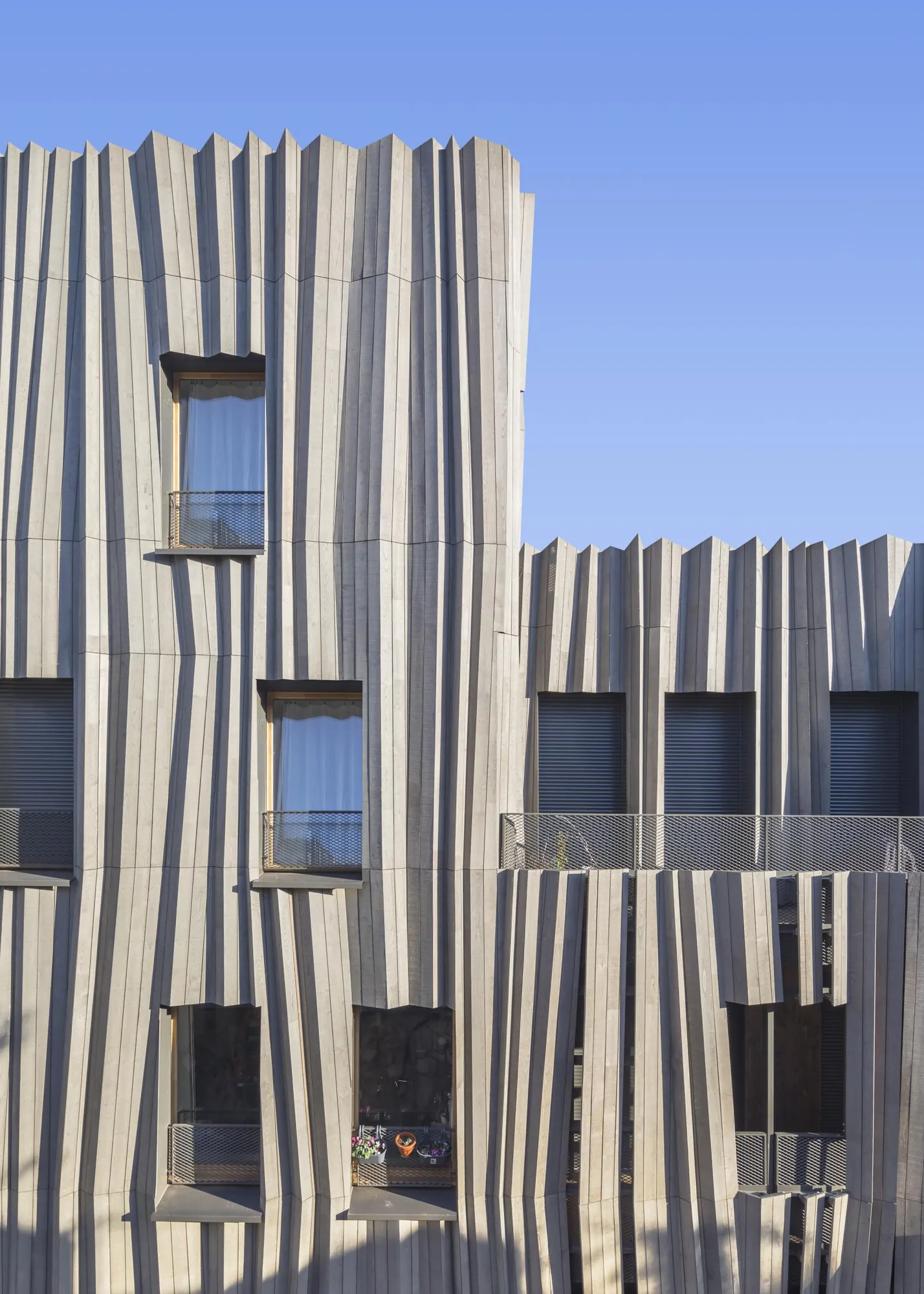 Yama Tani, Paris 19e